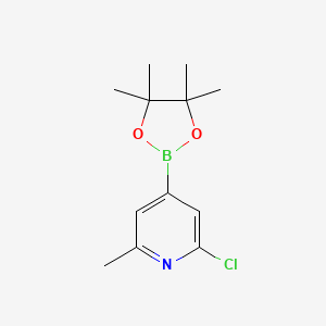 Структурная формула 2-CHLORO-6-METHYLPYRIDINE-4-BORONIC ACID PINACOL ESTER, CAS 697739-22-3, формула C12H17BClNO2