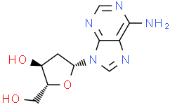 Структурная формула 2'-Deoxyadenosine, CAS 958-09-8, формула C10H13N5O3