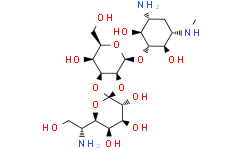Структурная формула Antihelmycin, CAS 31282-04-9, формула C20H37N3O13