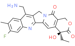 7-Aminomethyl-10-methyl-11-fluoro camptothecin