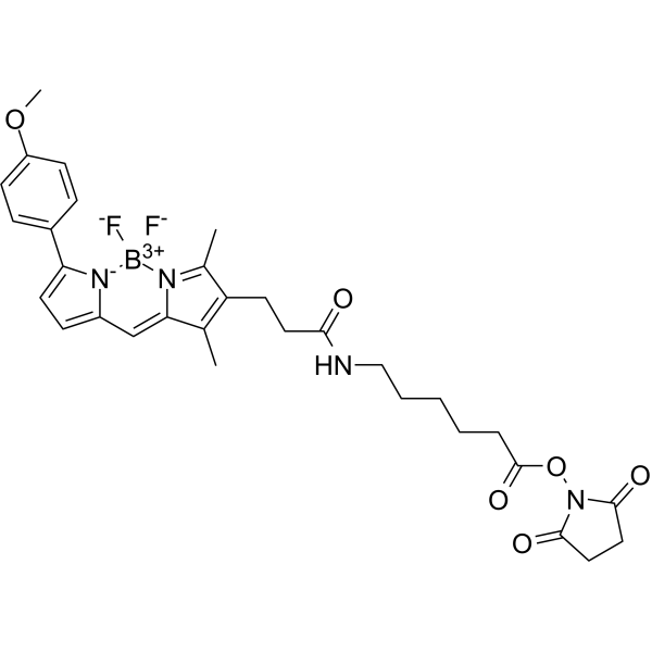 Структурная формула BODIPY TMR-X SE — мощный флуоресцентный краситель, CAS 217190-15-3, формула C31H35BN4O6F2
