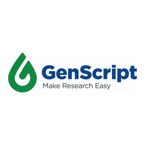 Структурная формула Производитель: GenScript Biotech Corporation страна: сша Enceed реагент для активации T-клеток