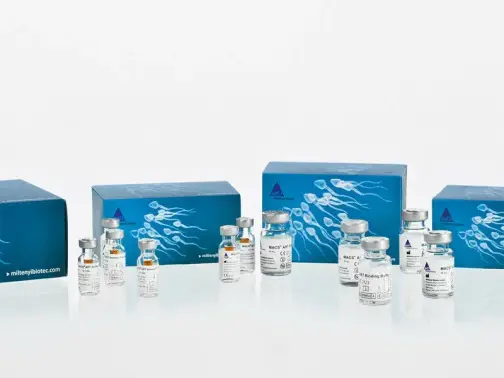 Структурная формула Six vials one vial Complete Kit производитель: Miltenyi Biotec страна: сша мы используем файлы cookie для работы сайта и улучшения сервиса сайт