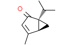 Структурная формула Umbellulone, CAS 546-78-1, формула C10H14O