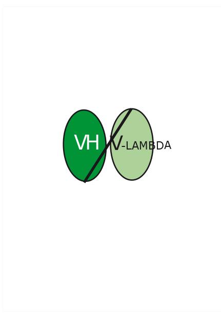 Структурная формула Ганкотамаб (мм-302, CAS 1509928-00-0 pH value: Corresponds to reference standard: PASS Non-reduced CE-SDS: >95% SEC-HPLC: >95% Isoelectric Point: Corresponds to reference standard Osmolality: Corresponds to reference standard: PASS Peptide mapping: Corresponds to reference standard: PASS N-terminal sequence: Corresponds to reference standard: PASS